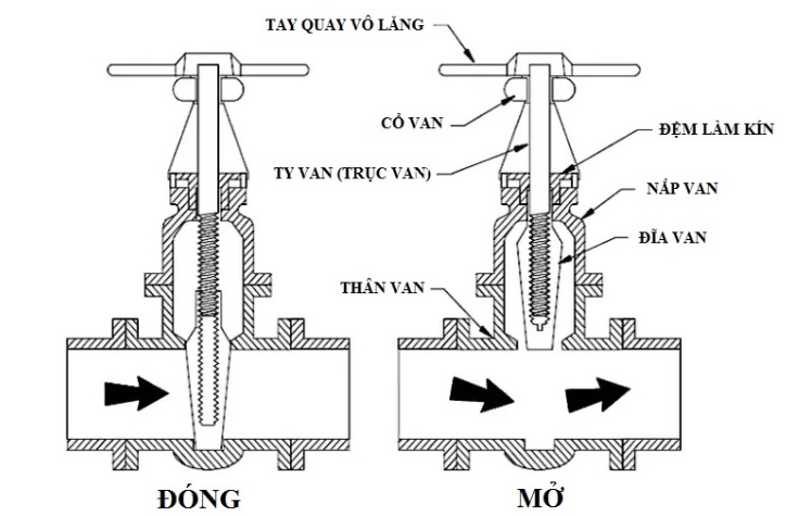 cau_tao_van_cong_ty_chim