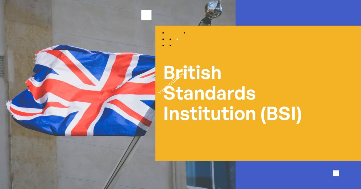 british_standards_institute