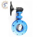 Van bướm mặt bích